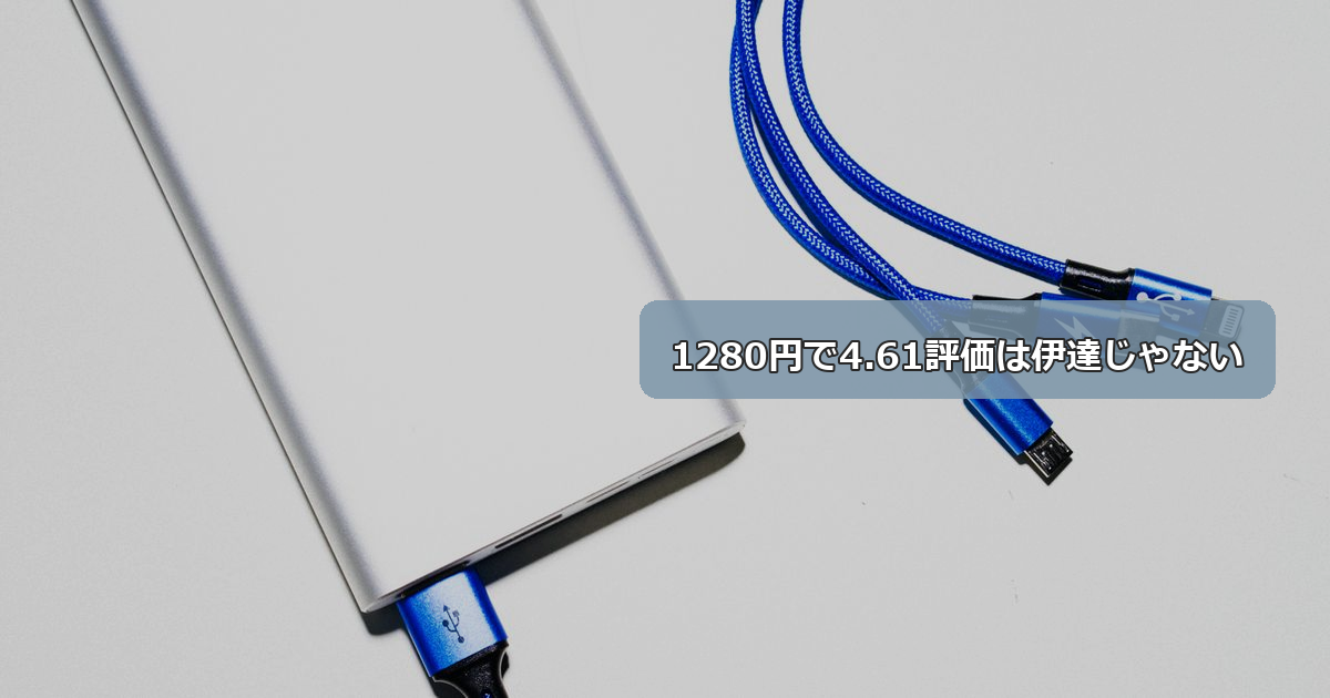 1280円で5572件・評価4.61の急速充電器セットは妥当か